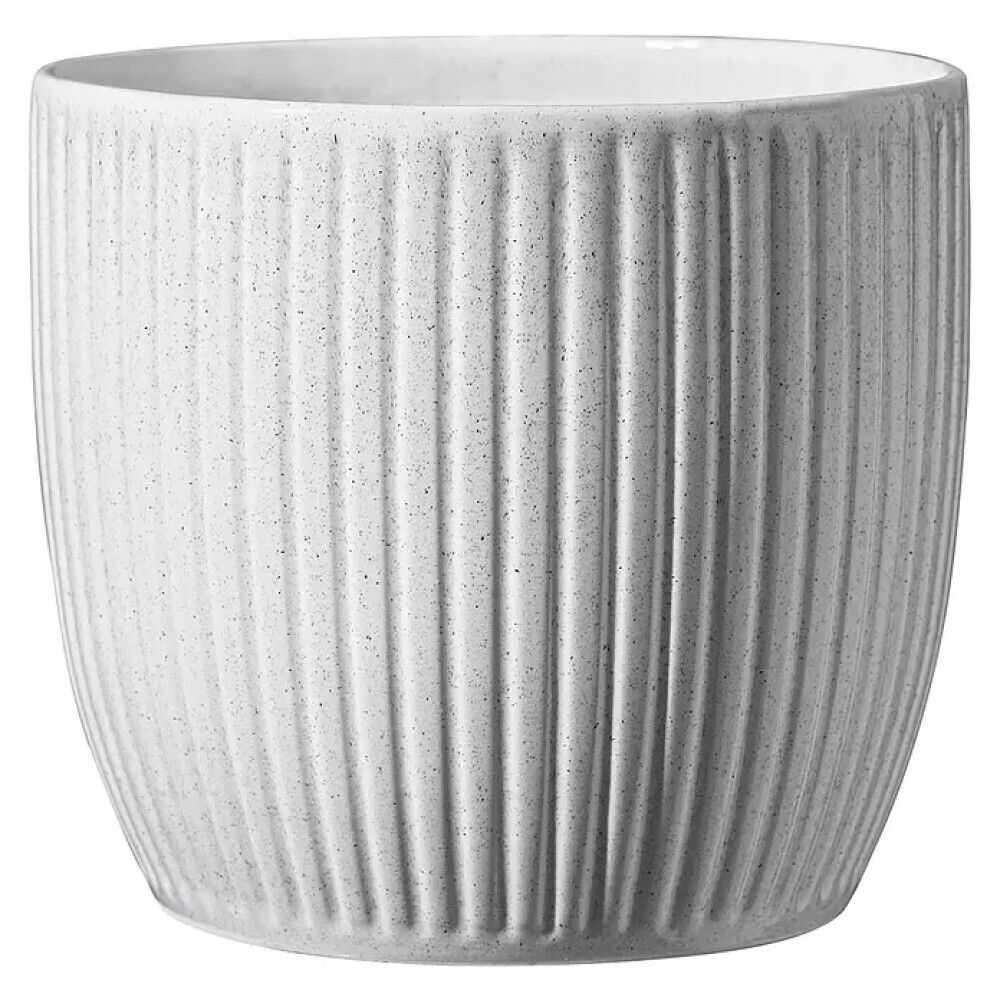 Suojaruukku Soendgen Belice valkoinen 16 cm