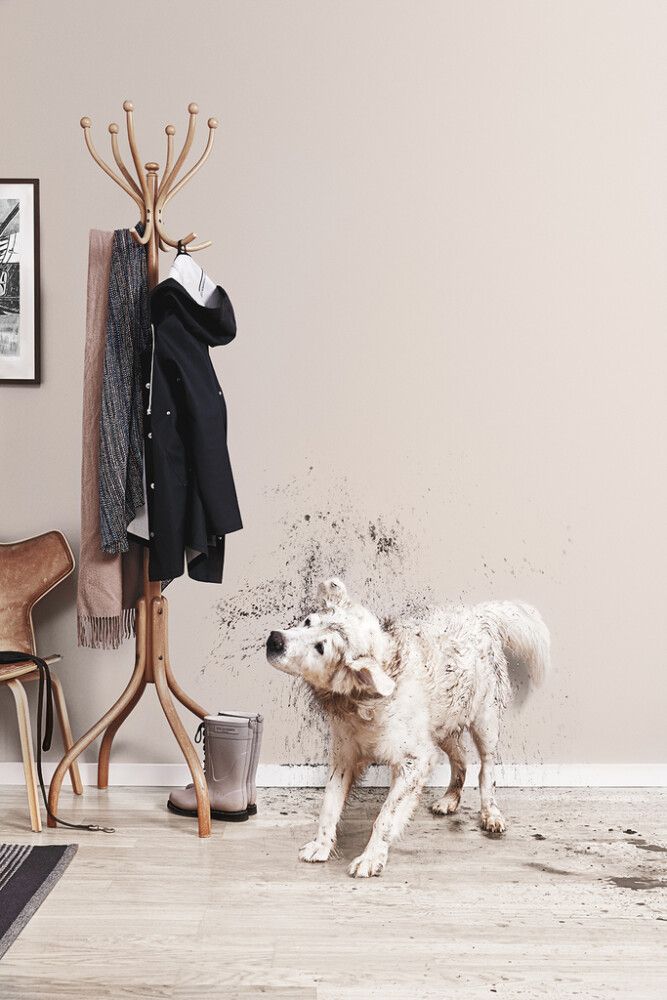 Seinämaali Nordsjö Perform+ Easy2Clean Valkoinen 10 l