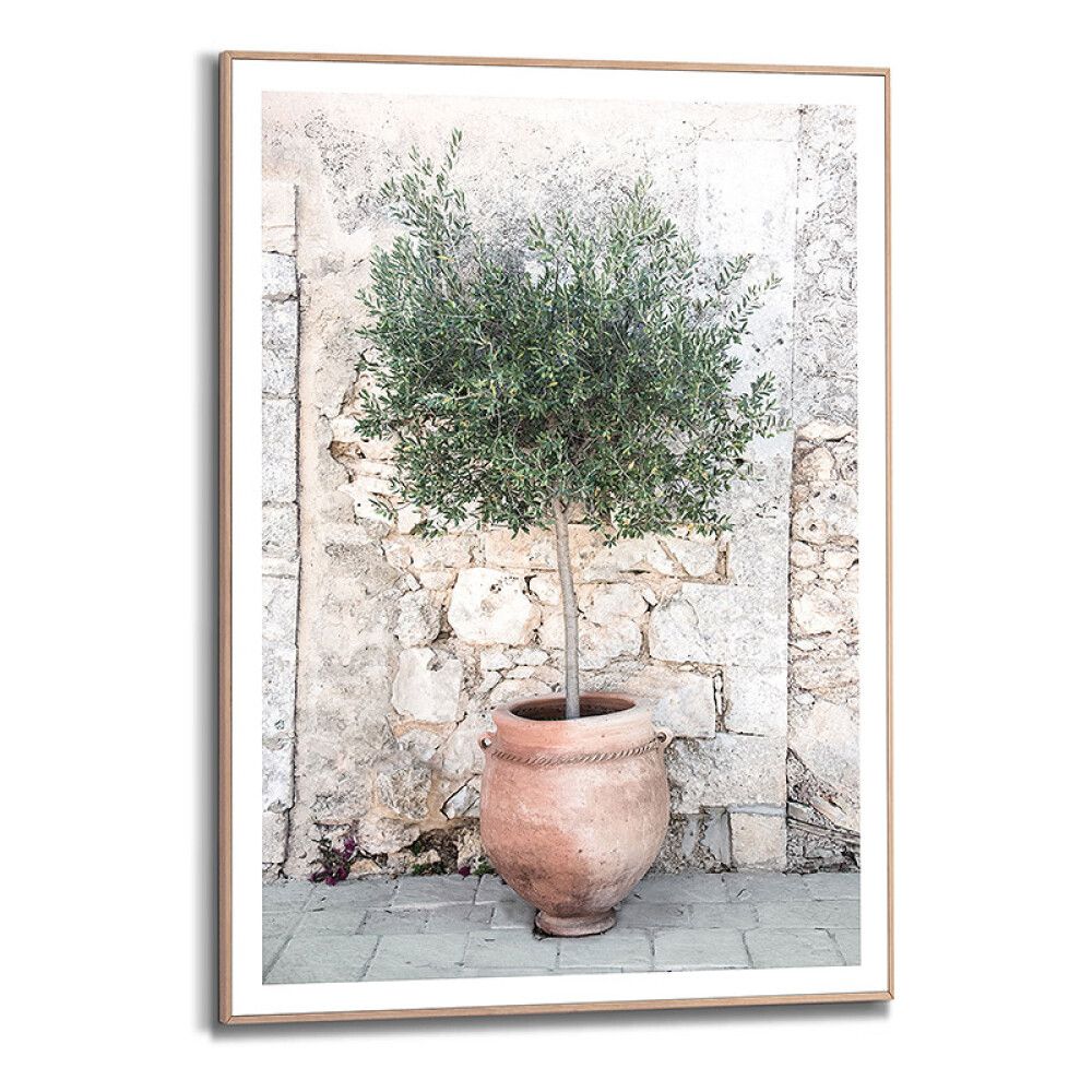 Sisustustaulu Reinders Olive Tree 50 x 70 cm