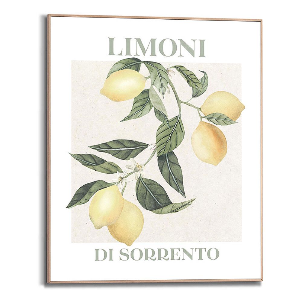Sisustustaulu Reinders Limoni 40 x 50 cm