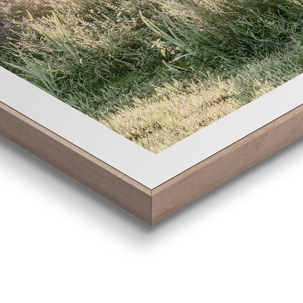 Sisustustaulu Reinders Rise and Shine 50 x 50 cm