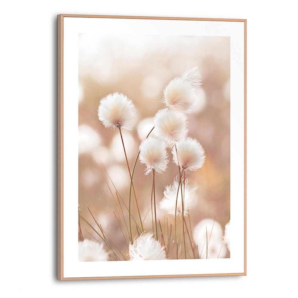 Sisustustaulu Reinders Cotton Pops 30 x 40 cm