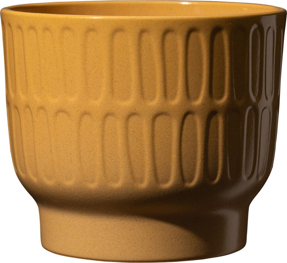 Suojaruukku Cusco keltaoranssi 14 cm