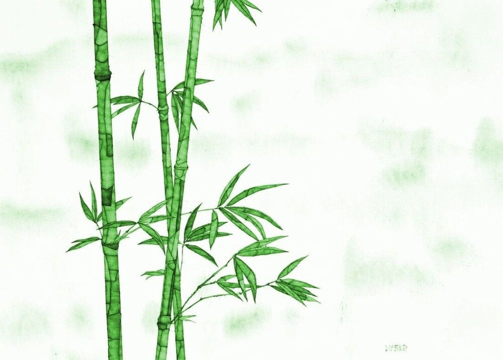 Liimapuulevy Bambu 18 x 400 x 800 mm