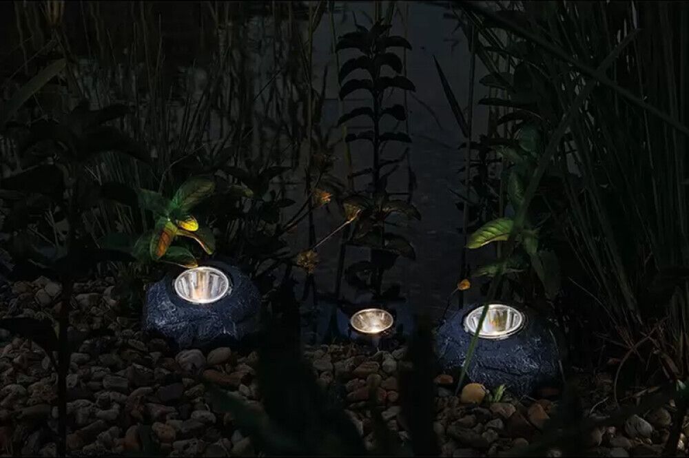 Pikkukuva 5