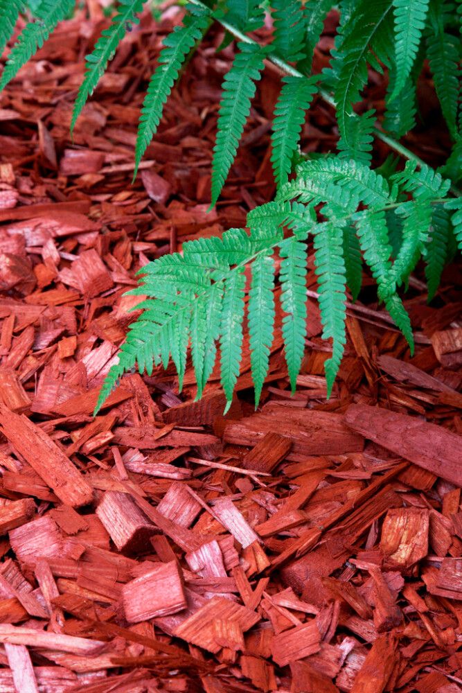 Koristekate Kekkilä antiikinpunainen 45 l