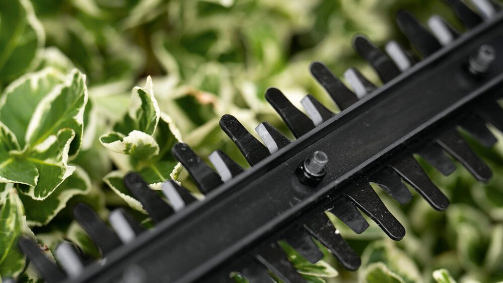 Akkupensasleikkuri Bosch EasyHedgeCut 18V 44-11 2Ah