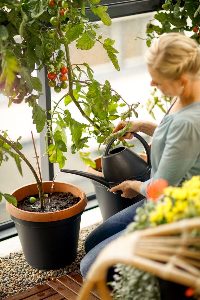 TOMAATTI- JA CHILILANNOITE KEKKILÄ 200 G