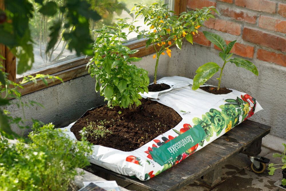 Kasvatussäkki Kekkilä 85 l