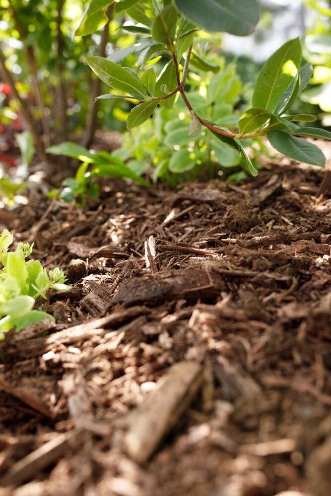 Puutarhakate Kekkilä 45 l