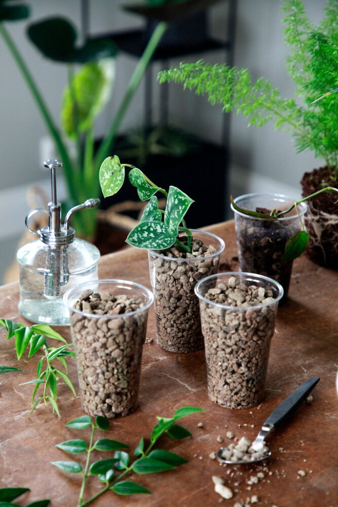 Viherkasvisora Kekkilä 5 l