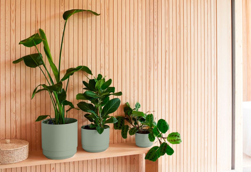 Kestokasteluruukku Orthex Pauliina oliivinvihreä 20 cm