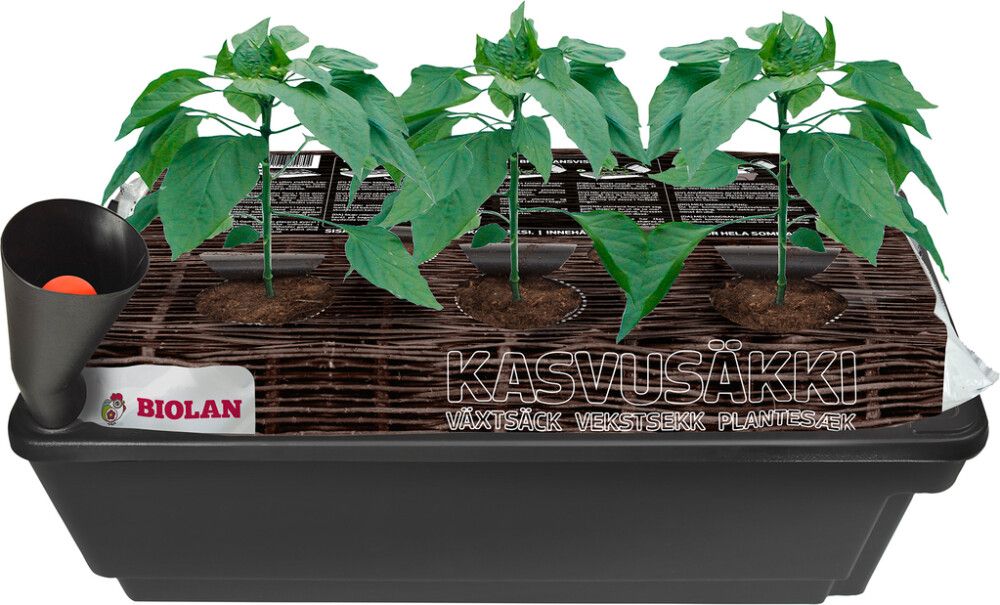 Kasteluallas Biolan 58 x 38 x 20 cm