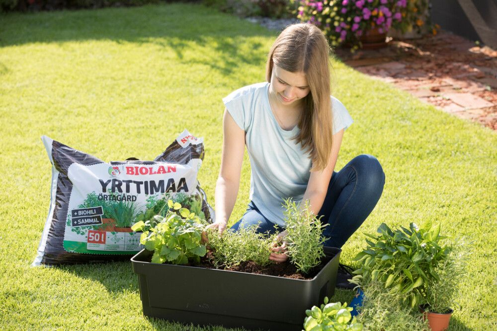 Kasvatusallas Biolan 57 x 36 x 20 cm