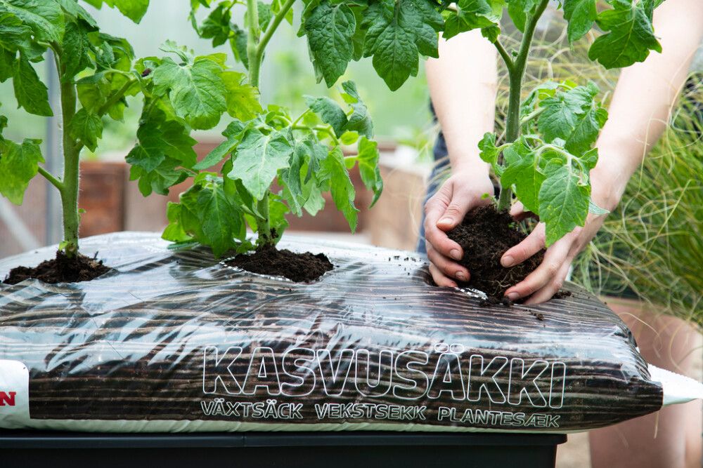 Kasvusäkki Biolan 60 l