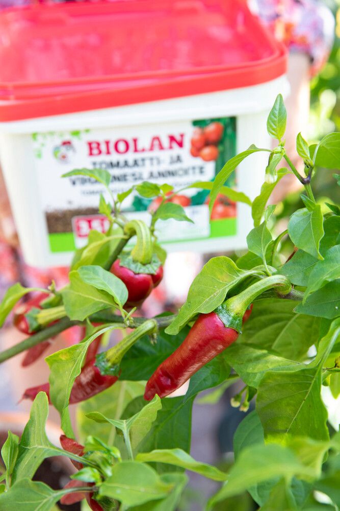Tomaatti- ja vihanneslannoite Biolan 3,5 l