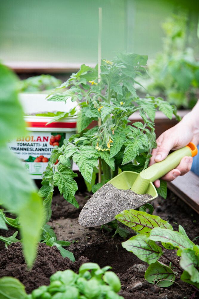 Tomaatti- ja vihanneslannoite Biolan 3,5 l