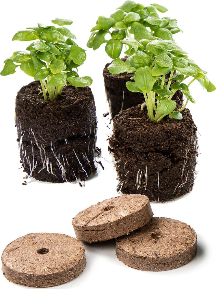 Sammalnapit Biolan 48 kpl