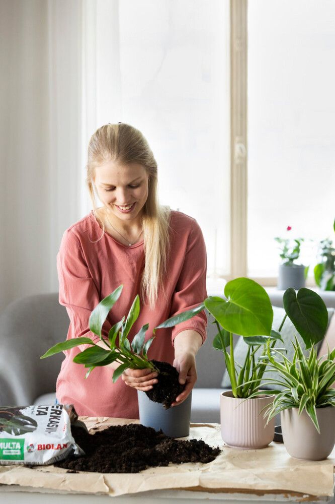 Viherkasvimulta Biolan 10 l turpeeton