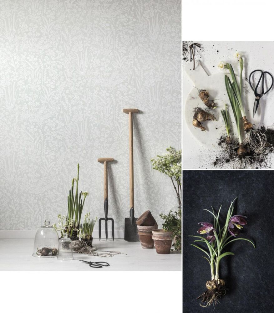 Kuitutapetti Sandudd Unelmia Niitty Harmaa