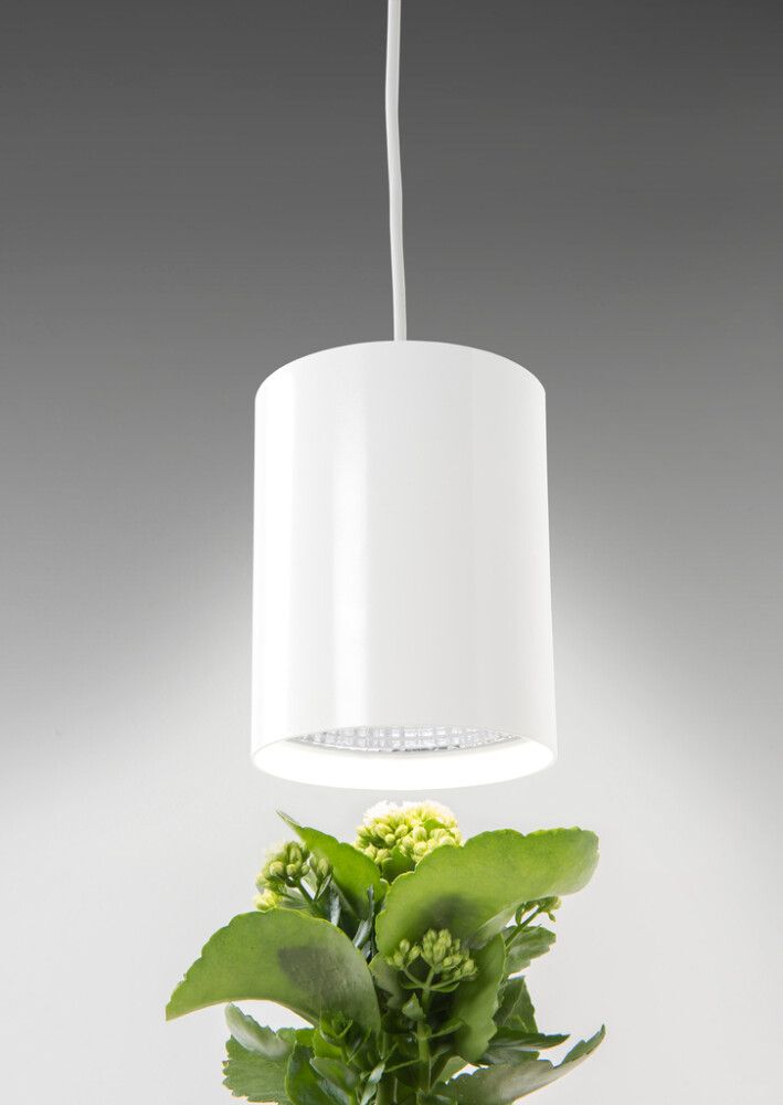 LED-kasvivalaisin Airam Fiora valkoinen