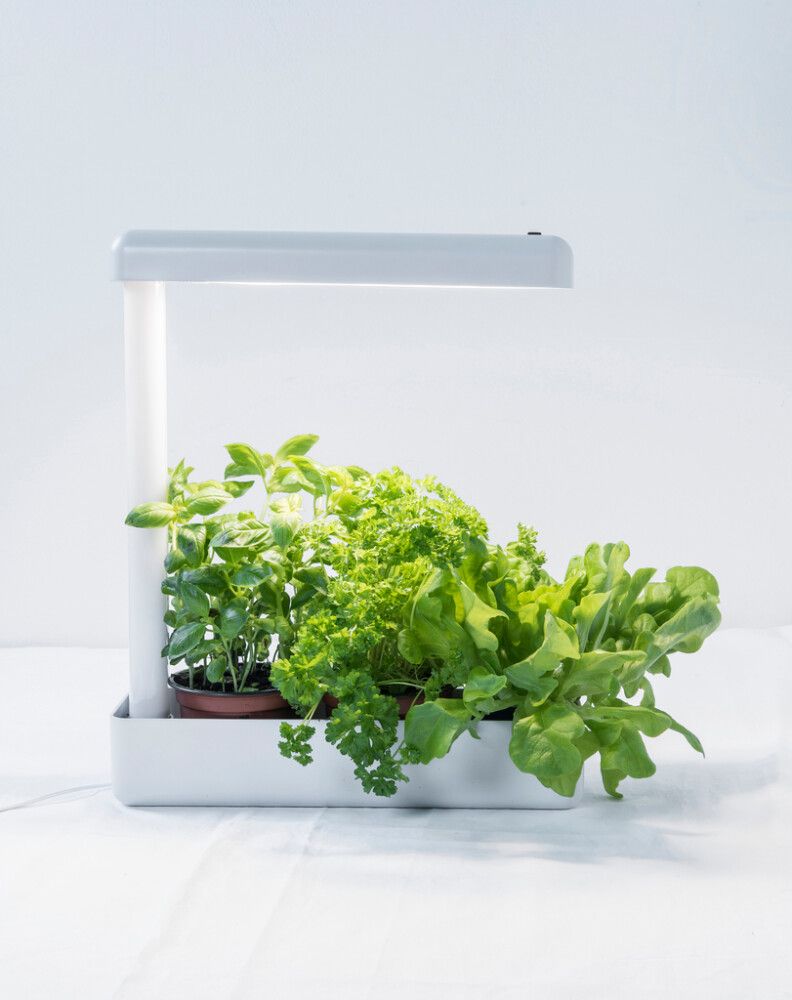 Kasvivalaisin Airam Herby 10W