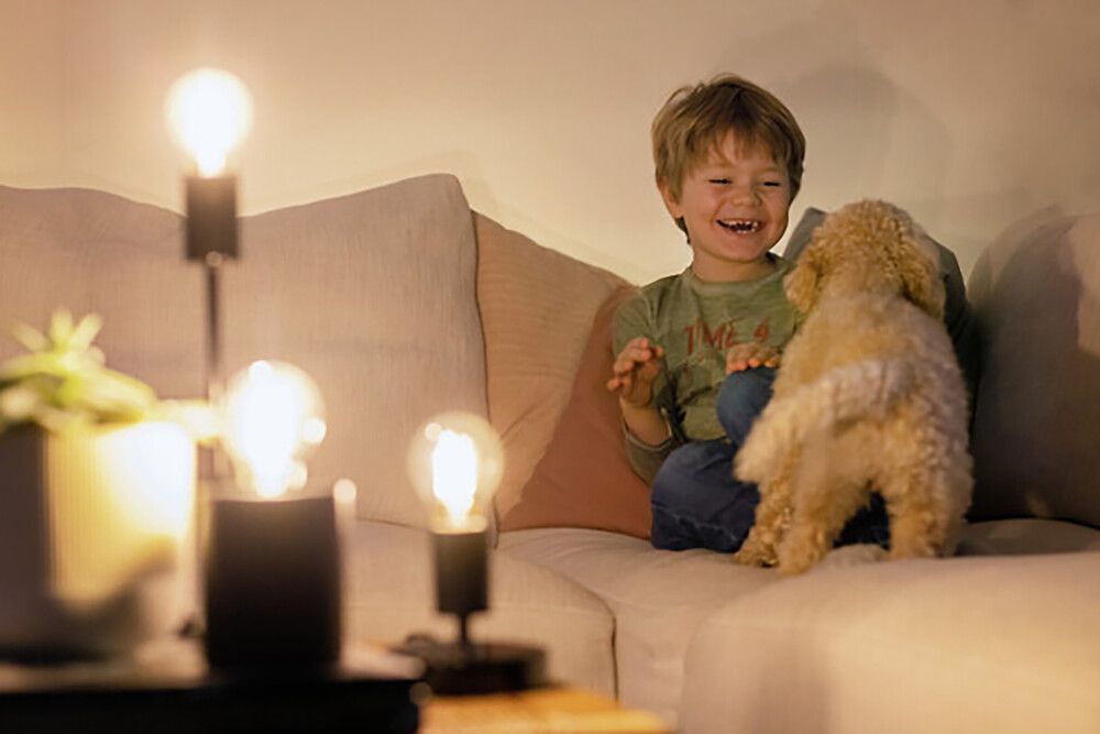 Airam Smart Globe 95 5 ,5 W E 27 Kullanruskea