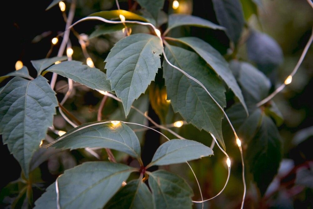 Solar Valolanka Airam Palma 9,9 m