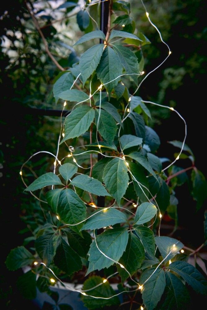 Solar Valolanka Airam Palma 9,9 m