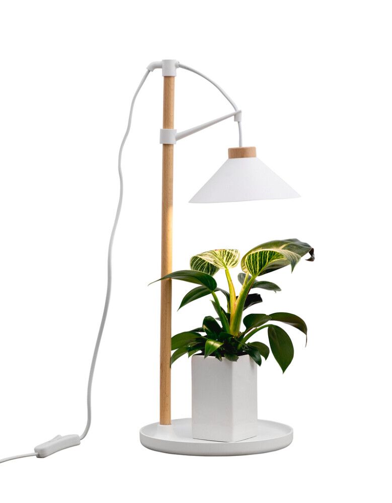 Kasvivalaisin Airam Lily Valkoinen/Puu