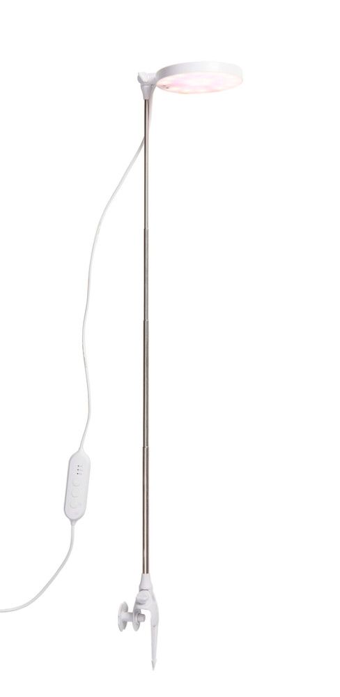 Kasvivalaisin Airam Rose