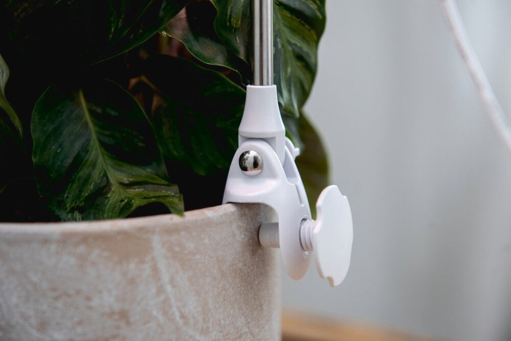 Kasvivalaisin Airam Rose