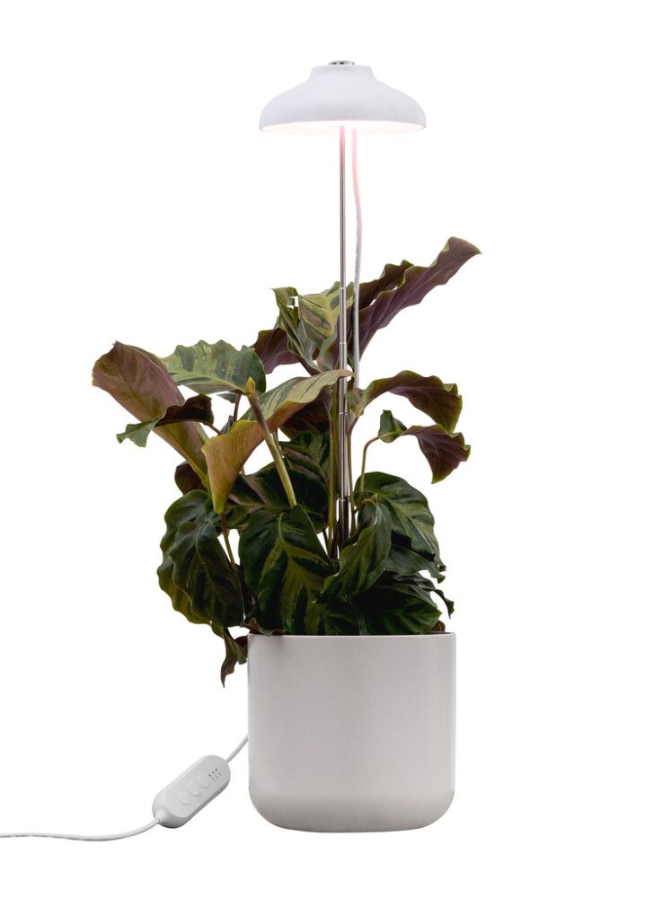 Kasvivalaisin Airam Iris Valkoinen