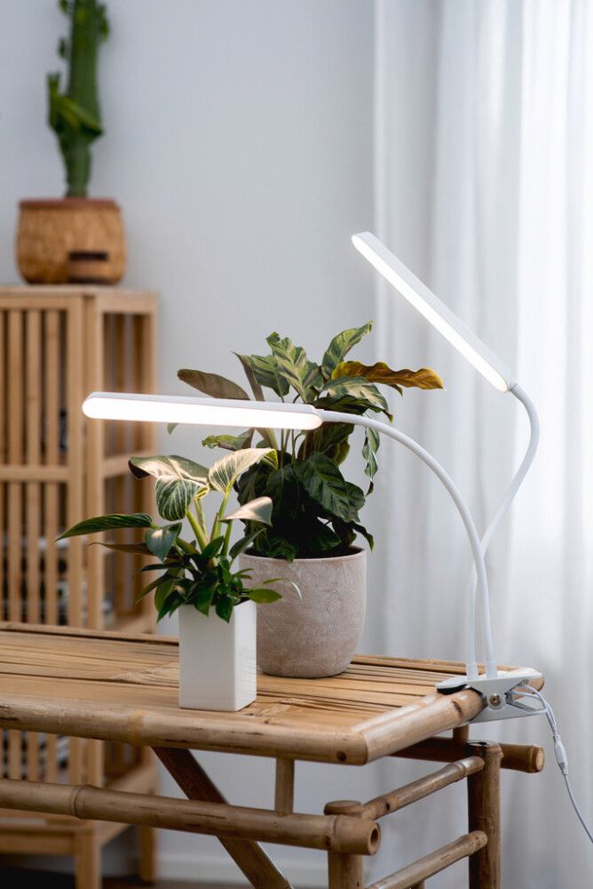 Kasvivalaisin Airam Tulip 2-osainen valkoinen