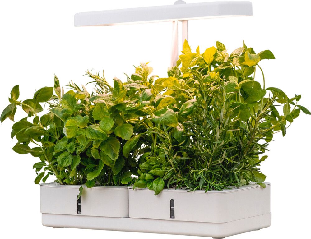 Kasvivalaisin Airam Daisy