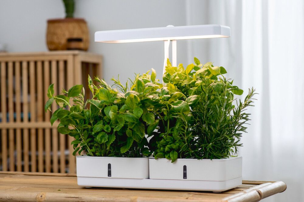 Kasvivalaisin Airam Daisy