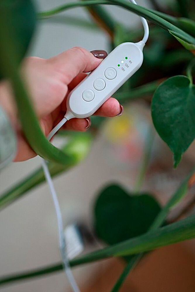 Kasvivalaisin Airam Ivy