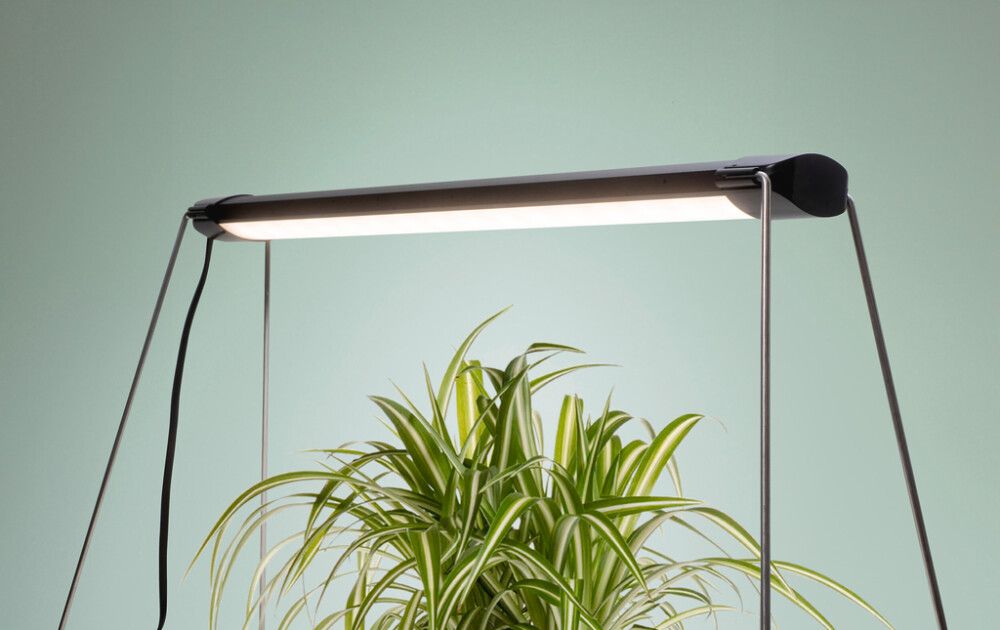 Kasvivalaisin Airam Verso