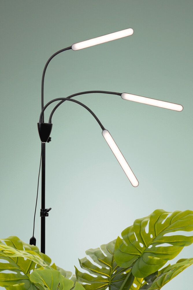 Kasvivalaisin Airam Palm