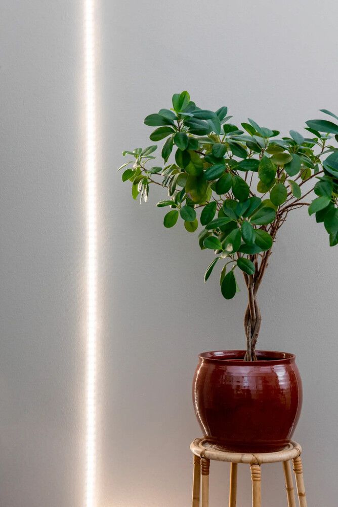 Kasvivalonauha Airam LED 2 m