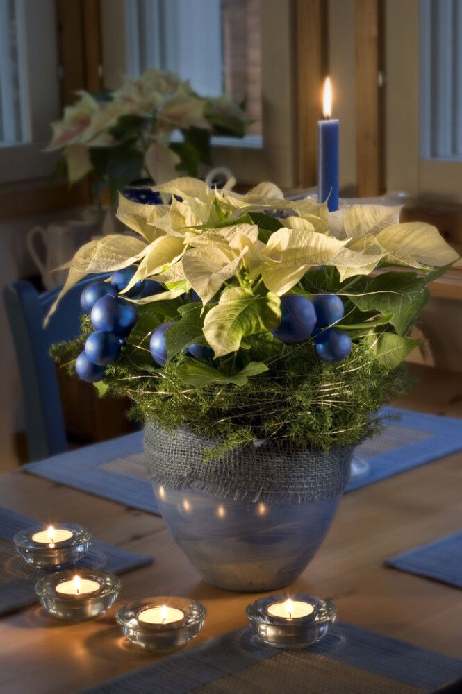 Joulutähti valkoinen P11 Kotimainen