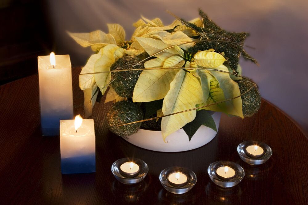 Joulutähti valkoinen P11 Kotimainen