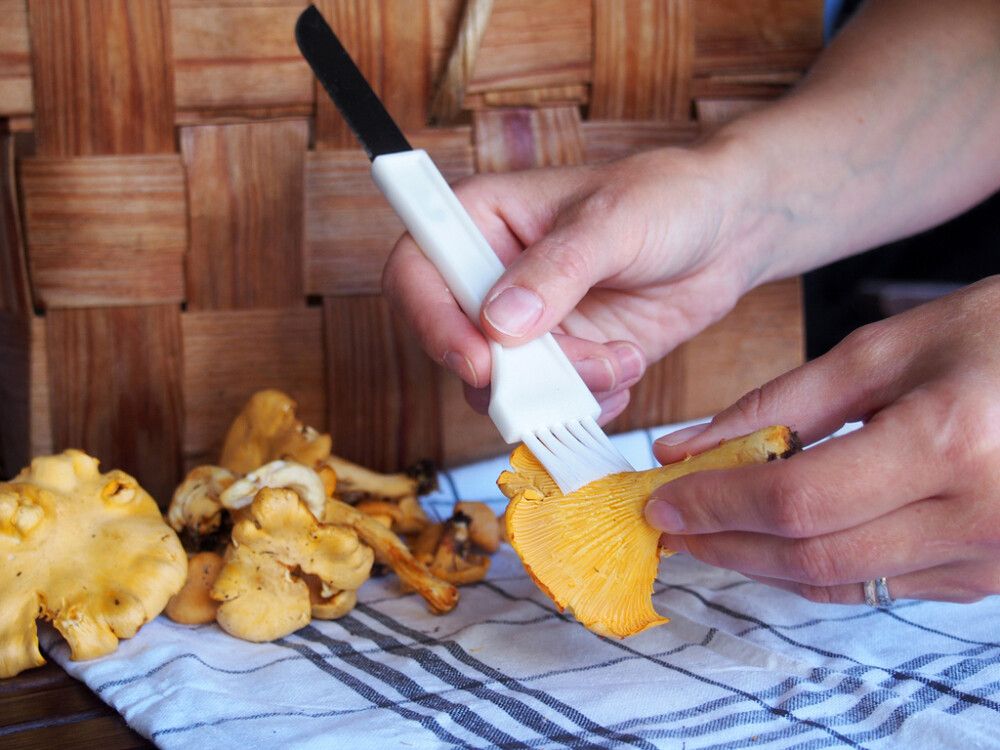 Sieniveitsi lajitelma 19 cm