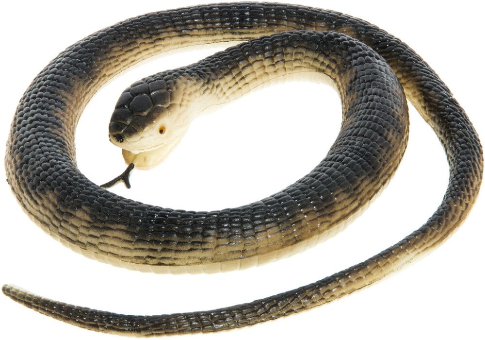 Linnunpelätinkäärme 105 cm