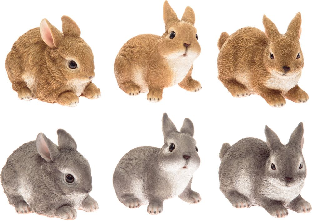 Puutarhakoriste pikkujänis 12 cm lajitelma