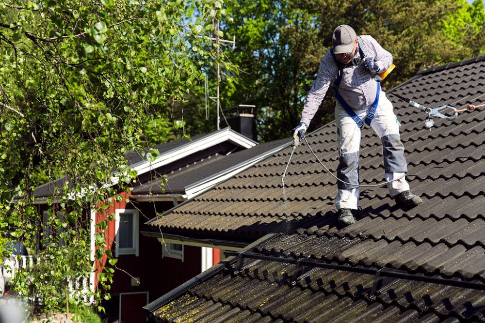 Sammaleenpoistaja Tikkurila Kilpi 5 l