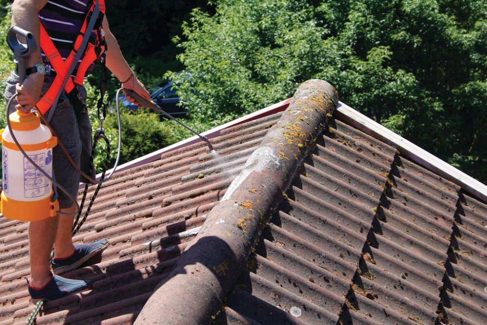 Sammaleenpoistaja Tikkurila Kilpi 5 l