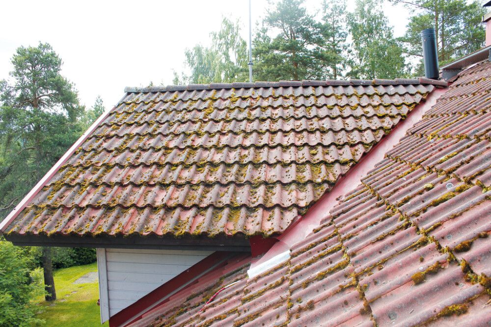 Sammaleenpoistaja Tikkurila Kilpi 5 l