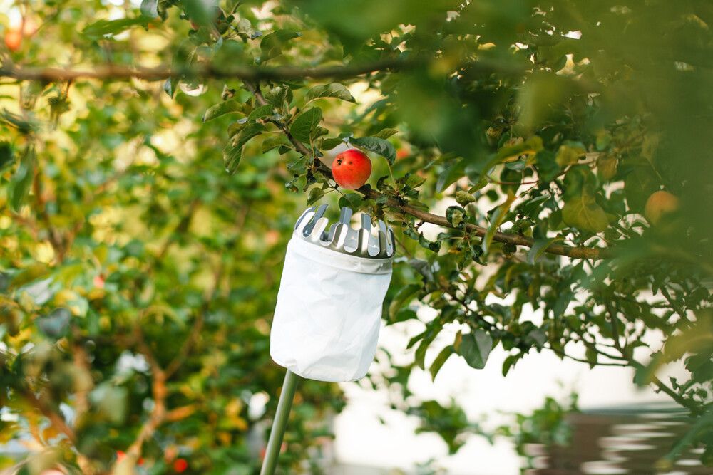 Hedelmäpoimuri Marjukka teleskooppivarrella