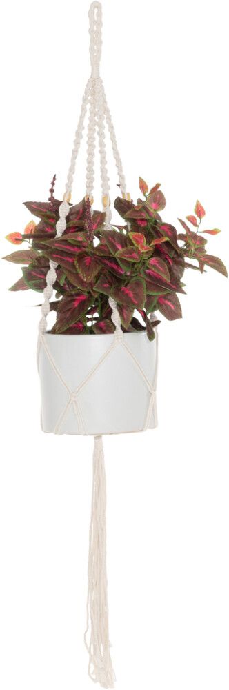 Naruamppeli 115 cm natural